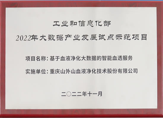 行业唯一！山外山公司入选“2022年大数据产业发展试点示范项目”